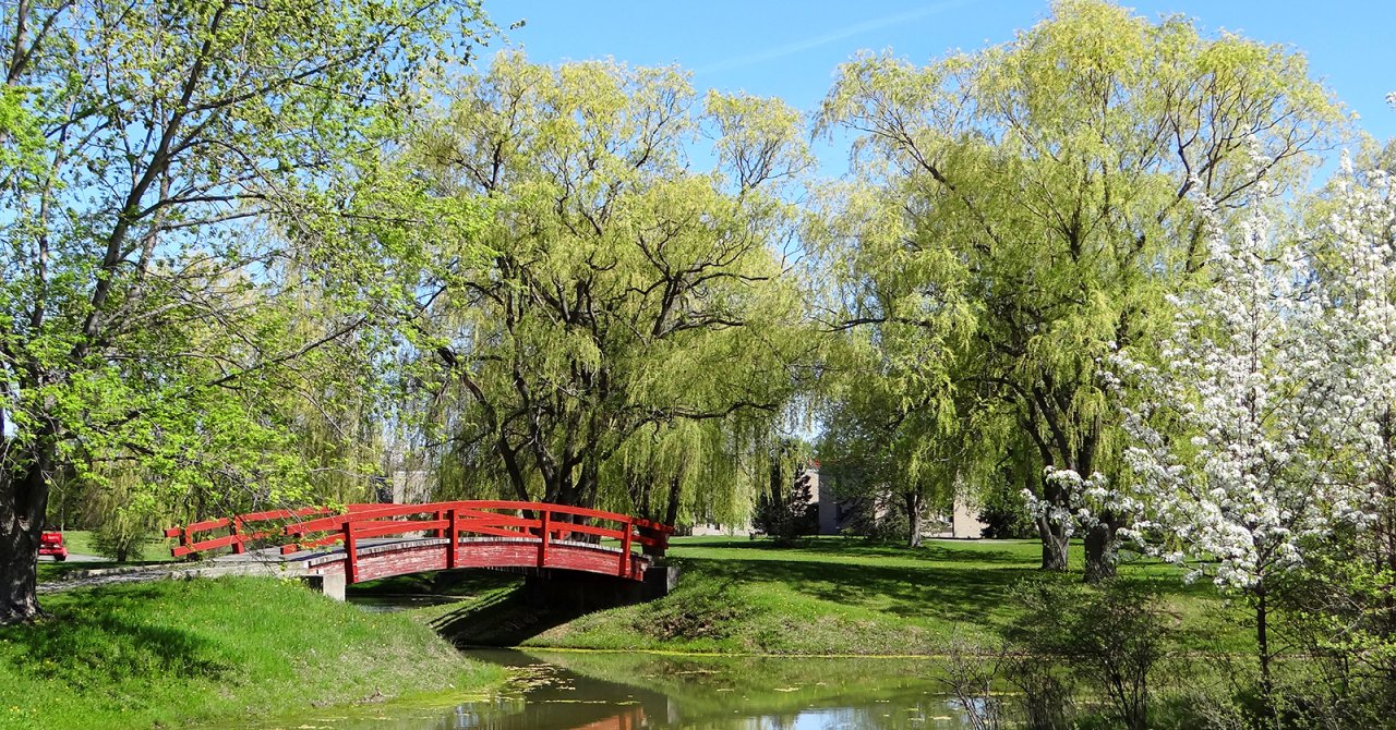 Northeast College campus bridge and greenery