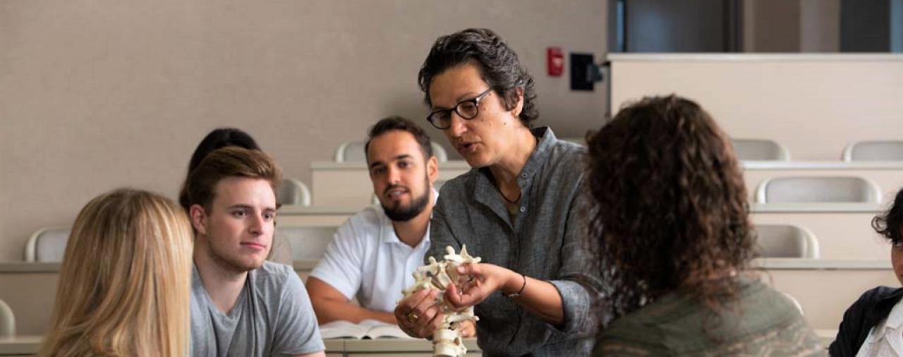 A professor showing a student replica spine