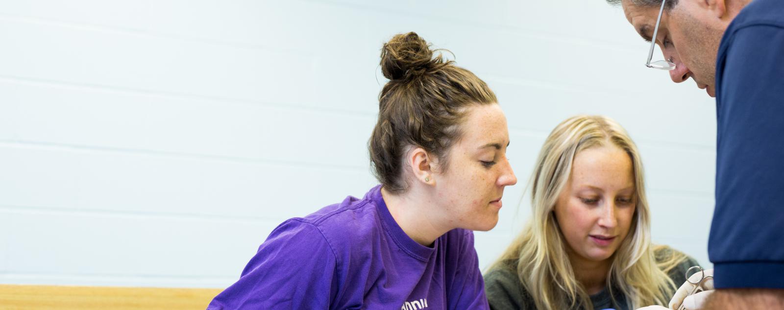 Students watching a professor explain anatomy 