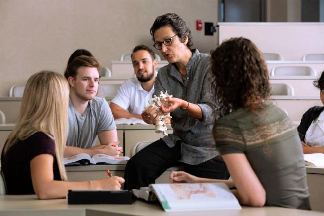 A professor instructing students about the skull