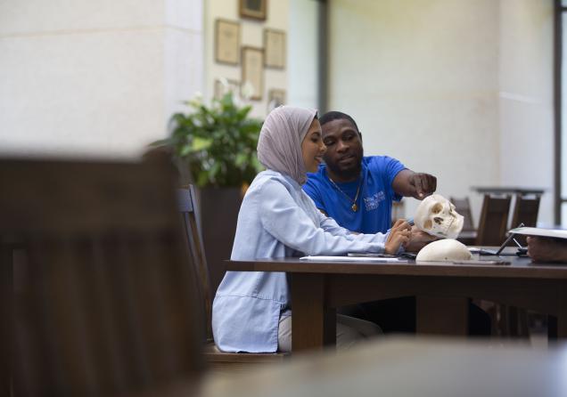 Two student studying in the Northeast College library