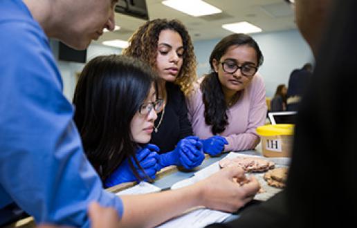 Five students in the anatomy lab