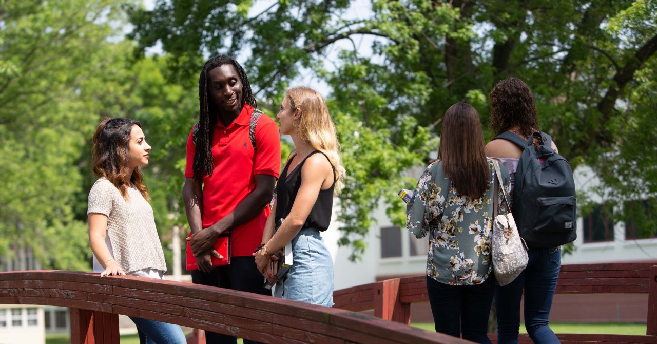 students together on the bridge on campus