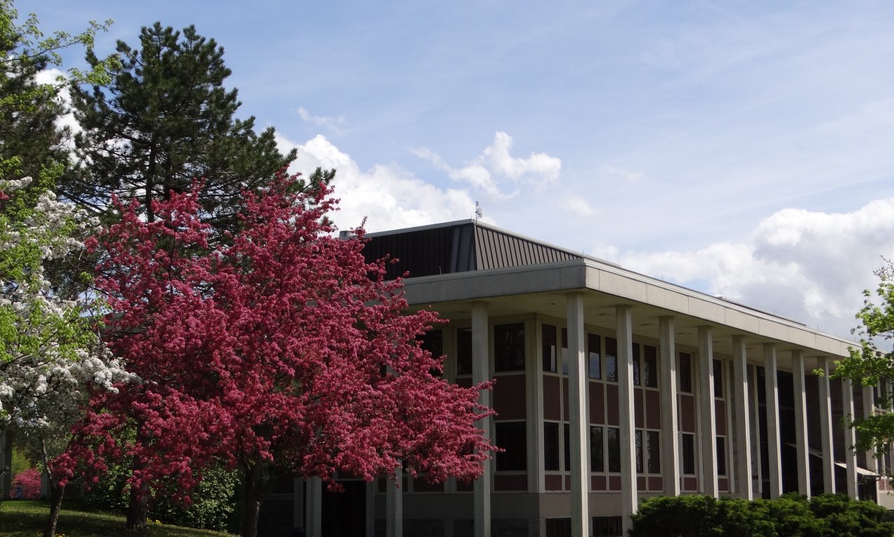 A Northeast College campus building with trees in front of it
